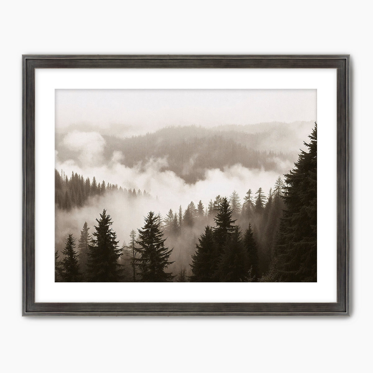 40-*AK-16-Misty Ridge Photo - HZ - Sage and Rose Prints