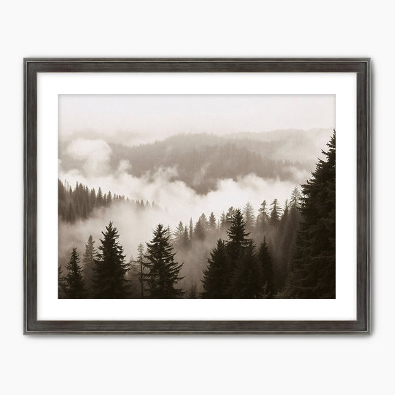 40-*AK-16-Misty Ridge Photo - HZ - Sage and Rose Prints