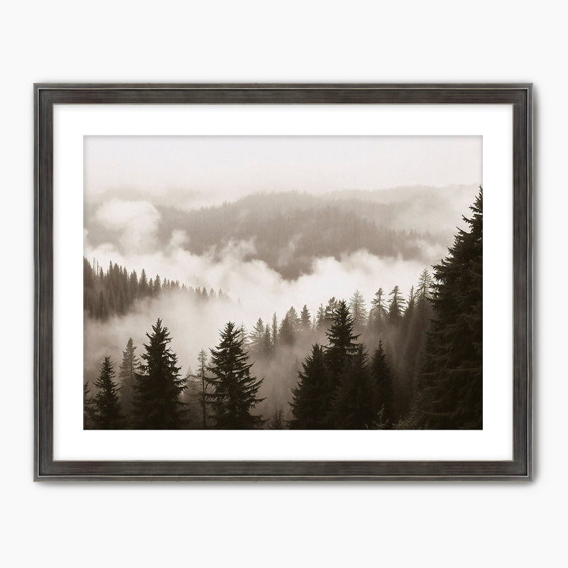 40-*AK-16-Misty Ridge Photo - HZ - Sage and Rose Prints