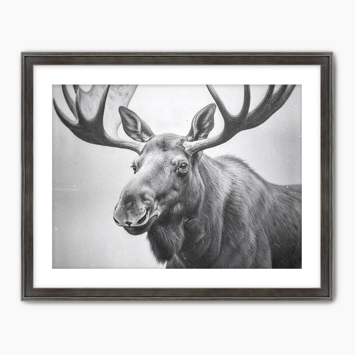 AK-17 Black and White Vintage Moose Photograph - Sage and Rose Prints