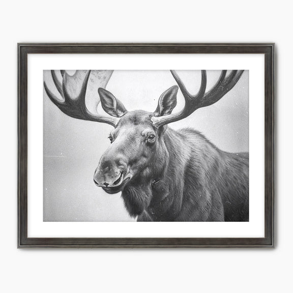 AK-17 Black and White Vintage Moose Photograph - Sage and Rose Prints