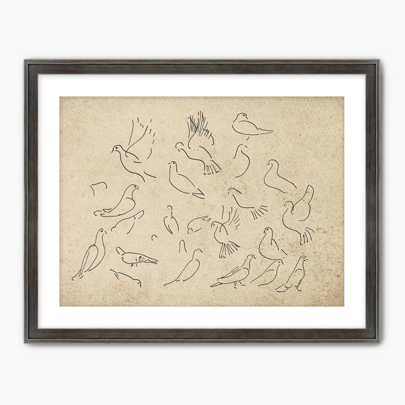 38-*AK-03- Vintage Doves Sketch - Sage and Rose Prints