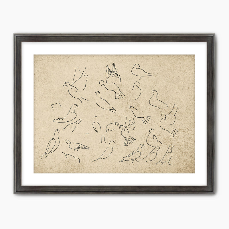 38-*AK-03- Vintage Doves Sketch - Sage and Rose Prints