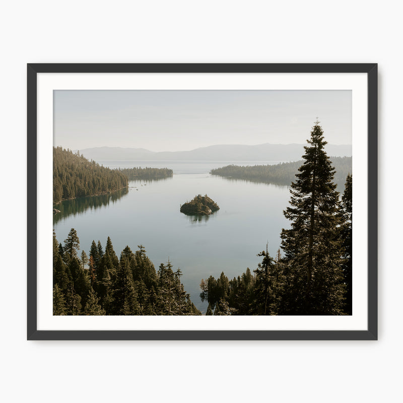 The Cove - Sage and Rose Prints