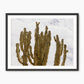 San Diego Cactus Photo - Sage and Rose Prints