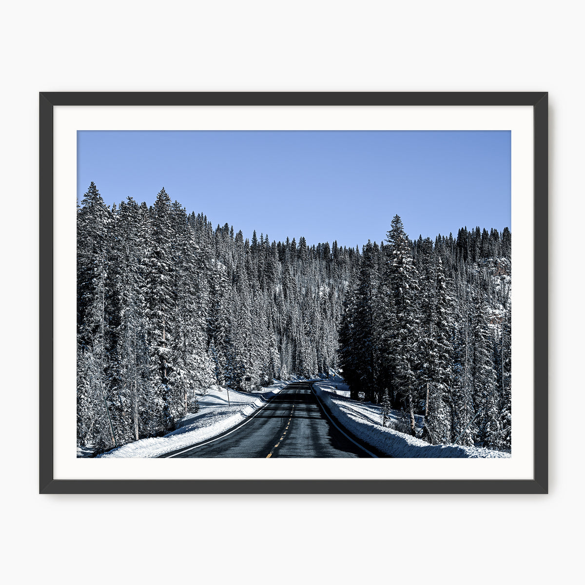 Rockies Road Photography