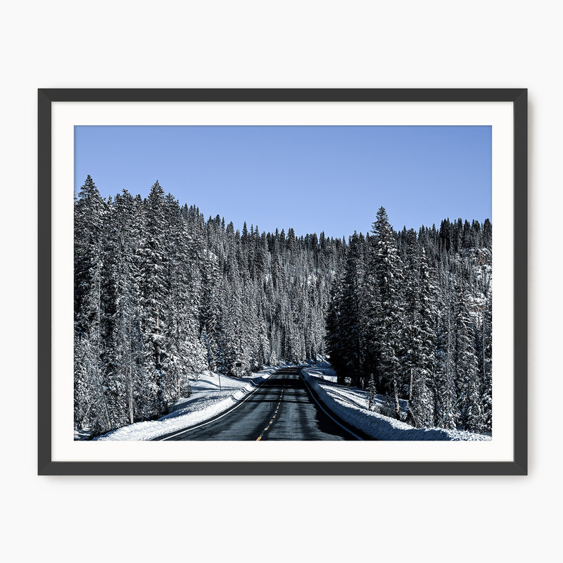 Rockies Road Photography - Sage and Rose Prints