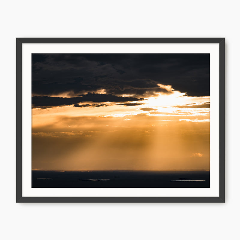 Beautiful Rays Photography - Sage and Rose Prints
