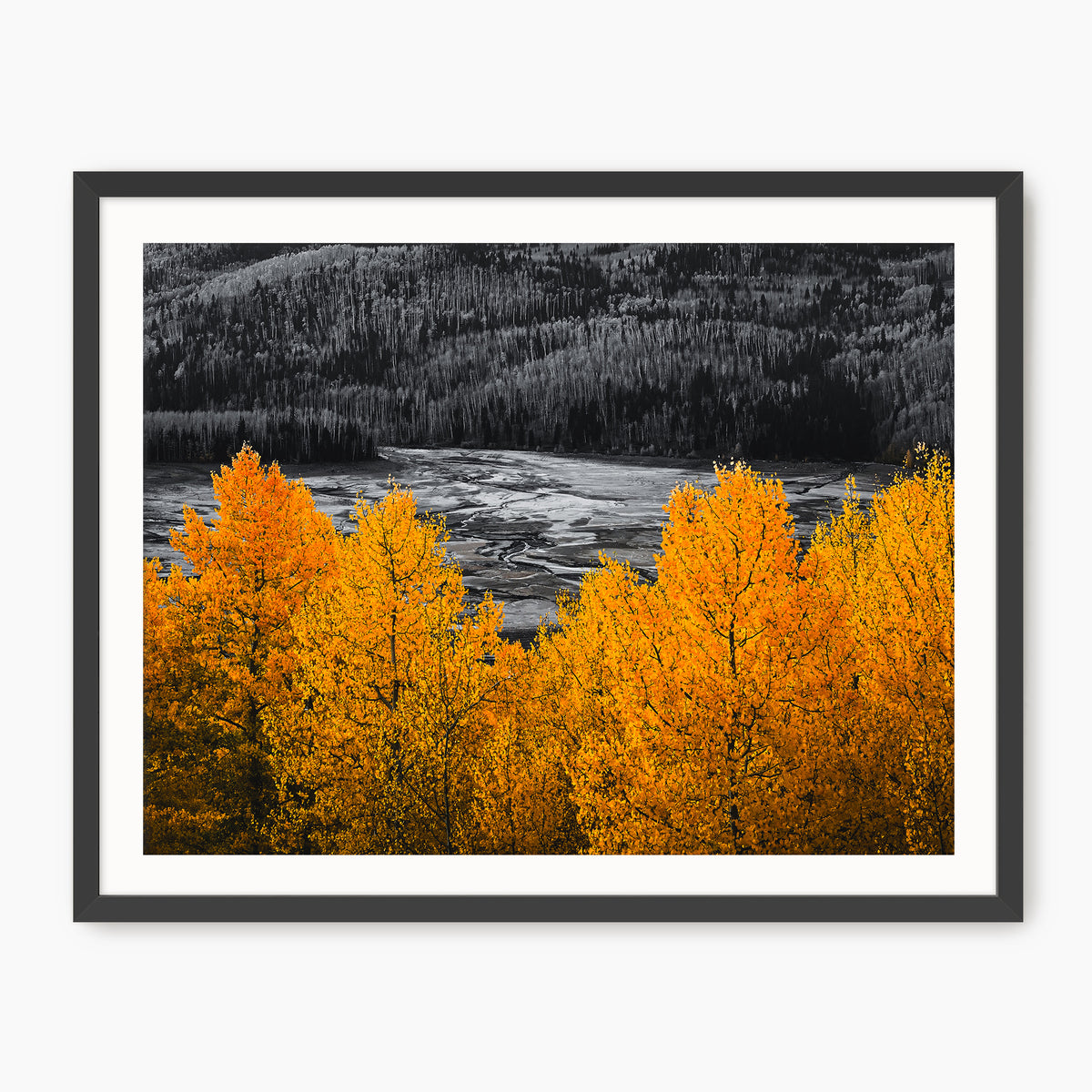 Vibrant Orange Fall Photography