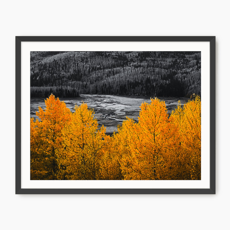 Vibrant Orange Fall Photography - Sage and Rose Prints