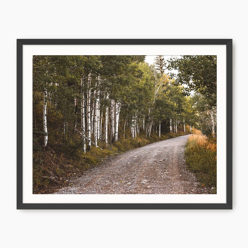 Path through the Woods Nature Photography - Sage and Rose Prints