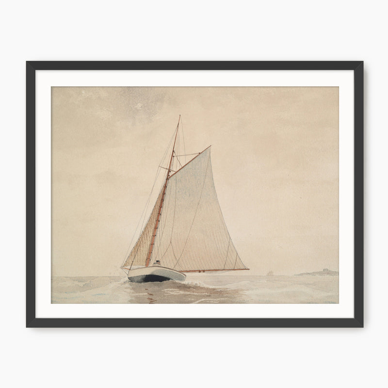 Vintage Sailboat Illustration No2 - Sage and Rose Prints