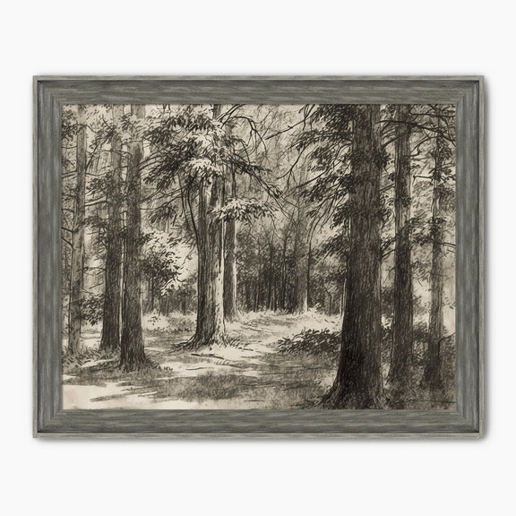 Vintage Forest Sketch - Sage and Rose Prints