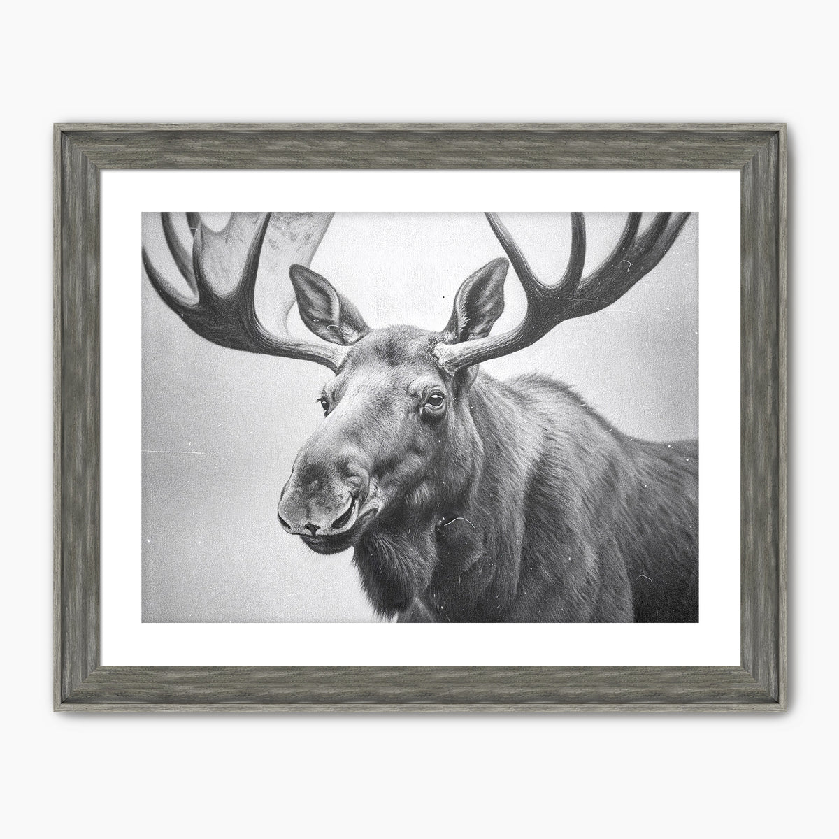 AK-17 Black and White Vintage Moose Photograph - Sage and Rose Prints