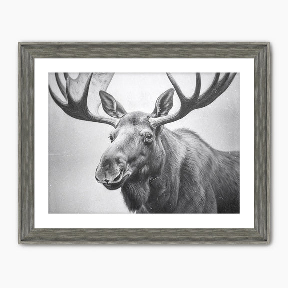 AK-17 Black and White Vintage Moose Photograph - Sage and Rose Prints