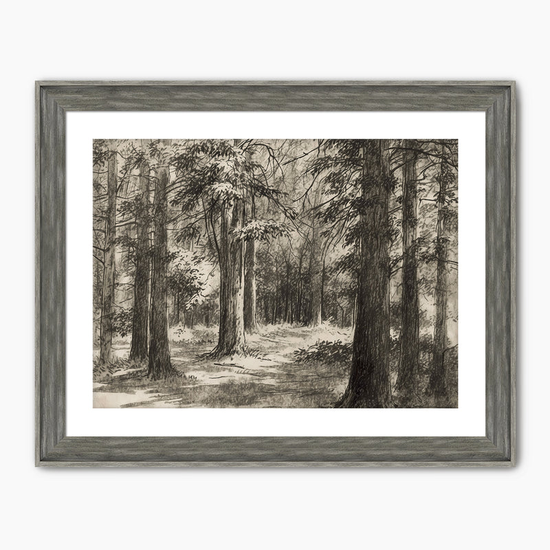 AK-46 Vintage Forest Sketch - Sage and Rose Prints