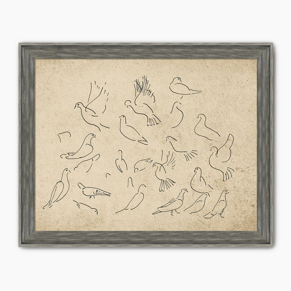 Vintage Doves Sketch - Sage and Rose Prints