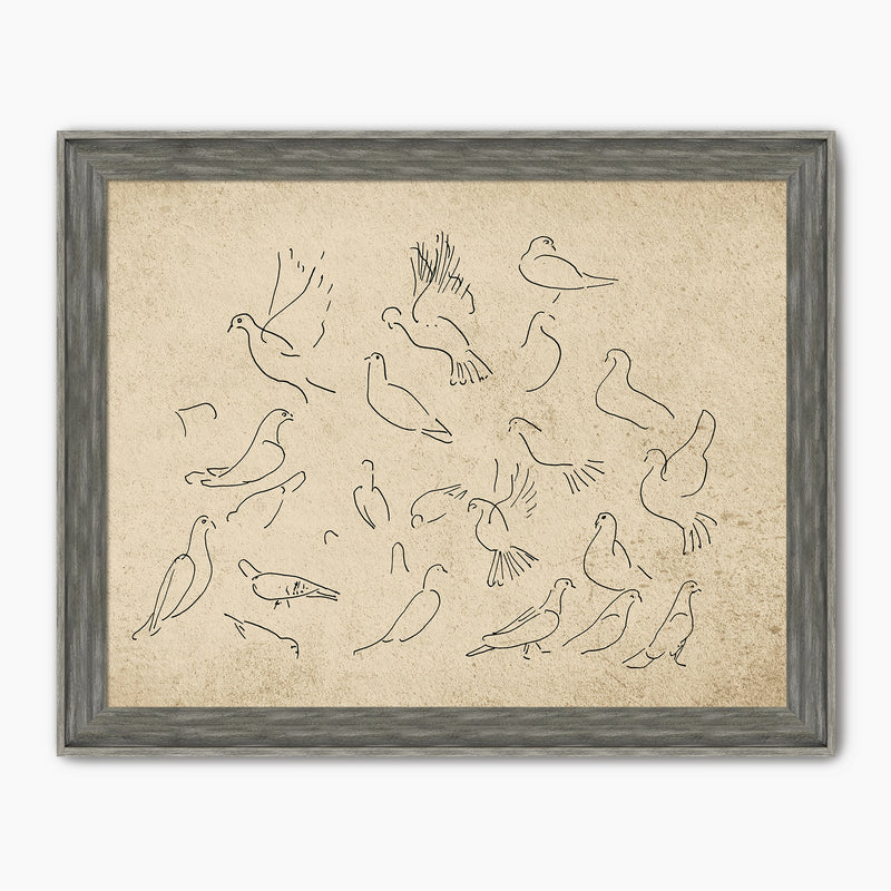 Vintage Doves Sketch - Sage and Rose Prints