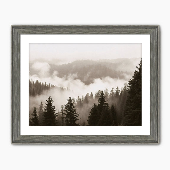 40-*AK-16-Misty Ridge Photo - HZ - Sage and Rose Prints