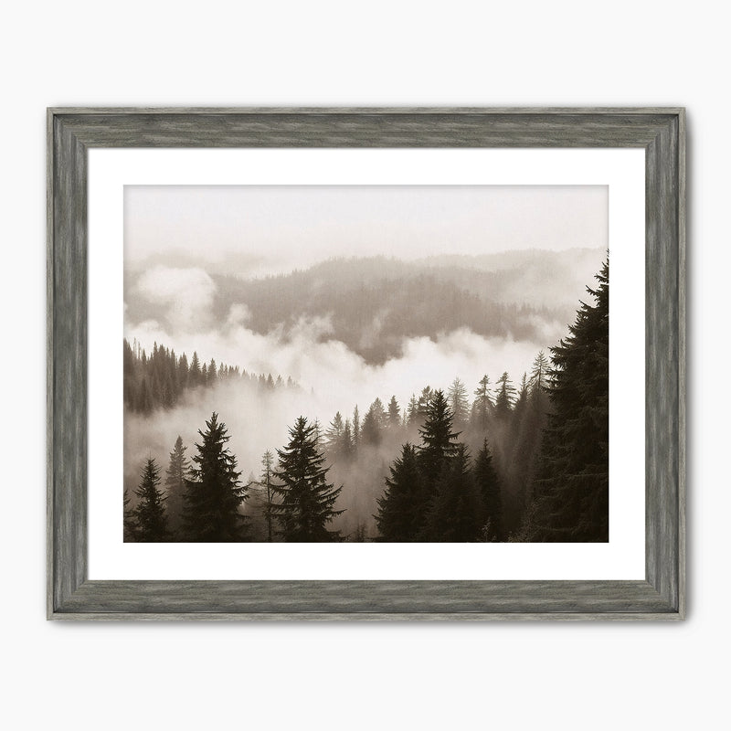 40-*AK-16-Misty Ridge Photo - HZ - Sage and Rose Prints