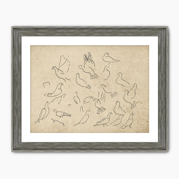 38-*AK-03- Vintage Doves Sketch - Sage and Rose Prints