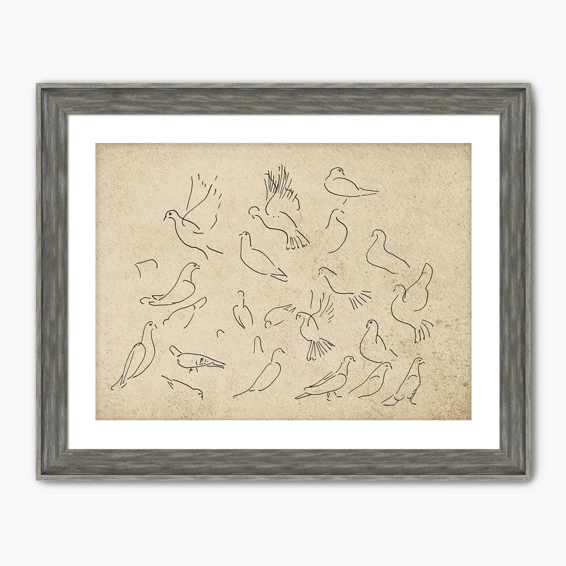 38-*AK-03- Vintage Doves Sketch - Sage and Rose Prints