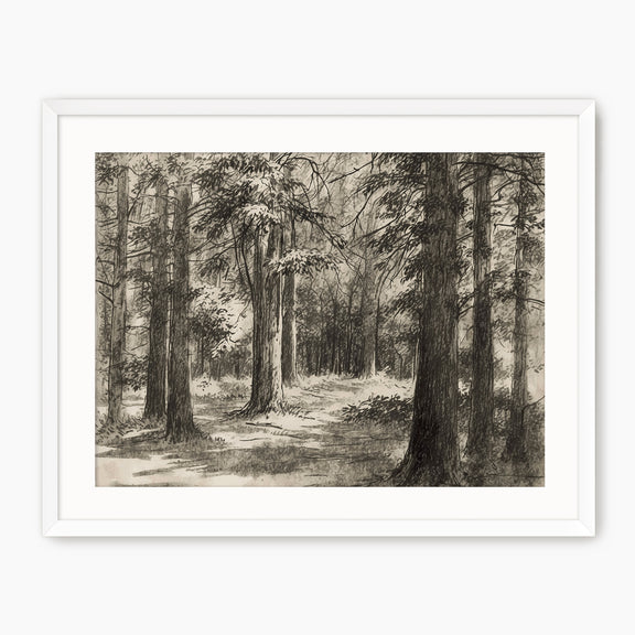 Vintage Forest Sketch - Sage and Rose Prints