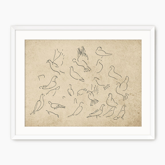 Vintage Doves Sketch - Sage and Rose Prints