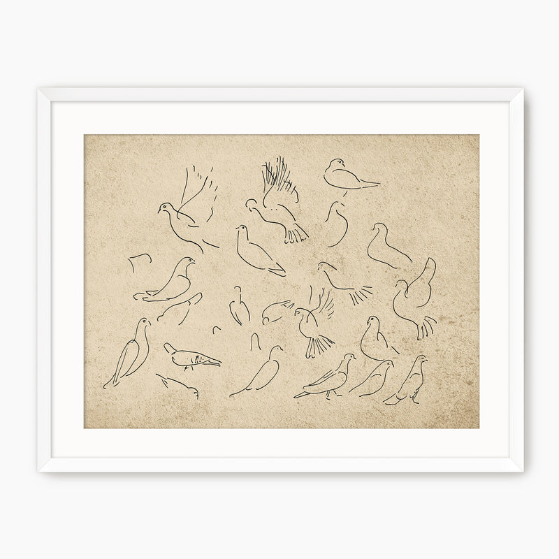 Vintage Doves Sketch - Sage and Rose Prints