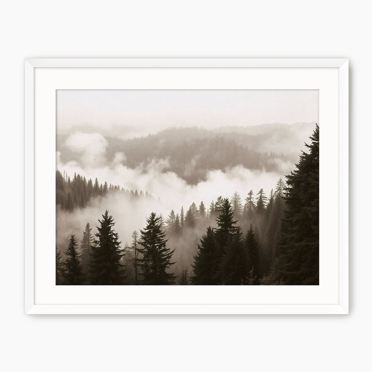 Misty Ridge Black and White Photo - Sage and Rose Prints