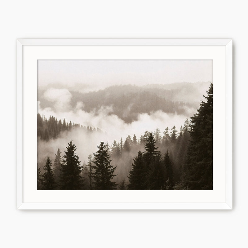 Misty Ridge Black and White Photo - Sage and Rose Prints