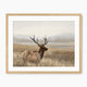 Deer in a Tall Grasses Painting Print - Sage and Rose Prints