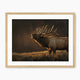 Moody Elk Wildlife Painting - Sage and Rose Prints