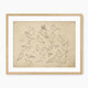 Vintage Doves Sketch - Sage and Rose Prints
