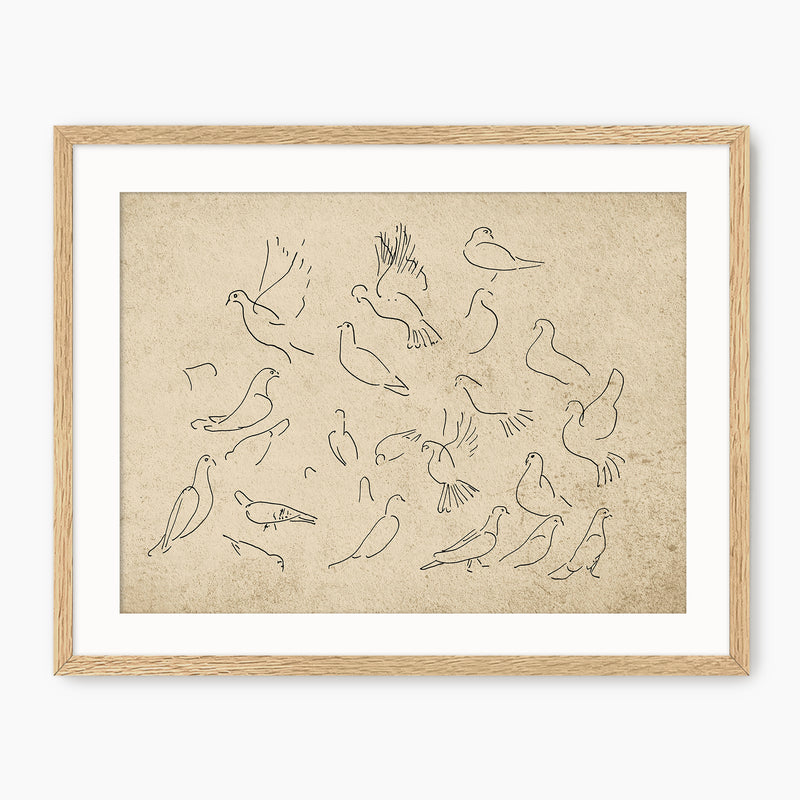 Vintage Doves Sketch - Sage and Rose Prints