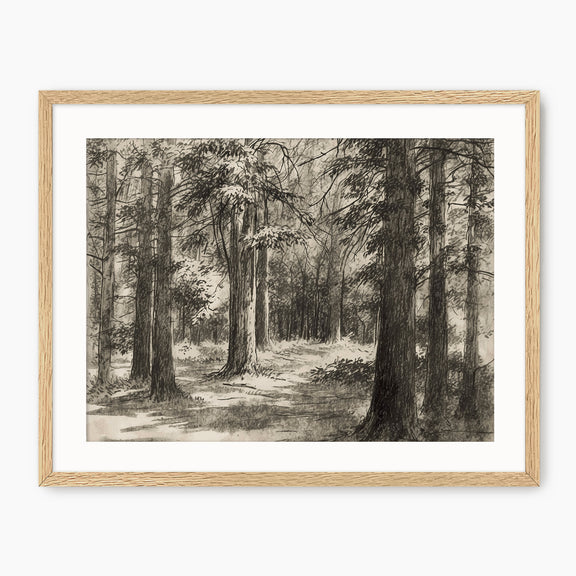 Vintage Forest Sketch - Sage and Rose Prints