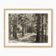 Vintage Forest Sketch - Sage and Rose Prints