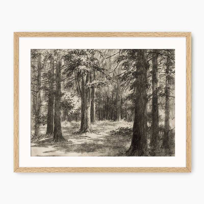 Vintage Forest Sketch - Sage and Rose Prints