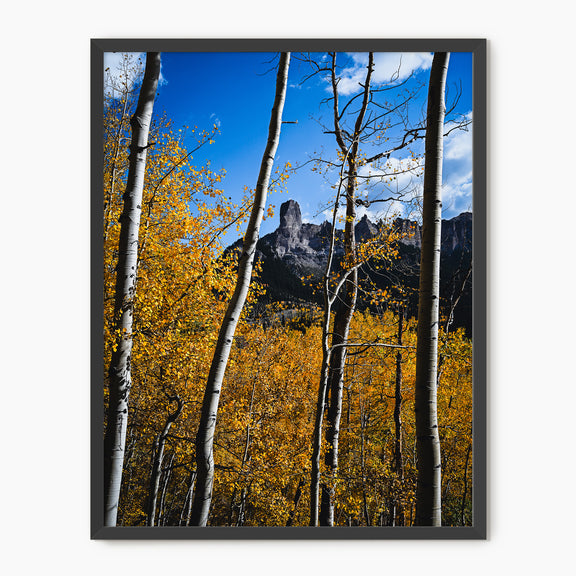 Fall Mountain Photograph - Sage and Rose Prints