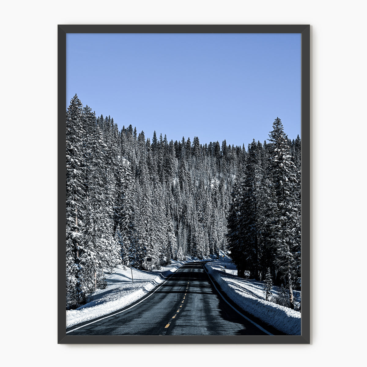 Winter Landscape Photography - Sage and Rose Prints