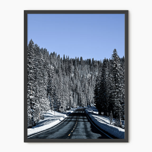 Winter Landscape Photography - Sage and Rose Prints