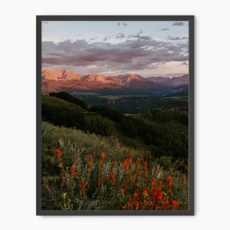 Telluride Mountain Sunset - Sage and Rose Prints