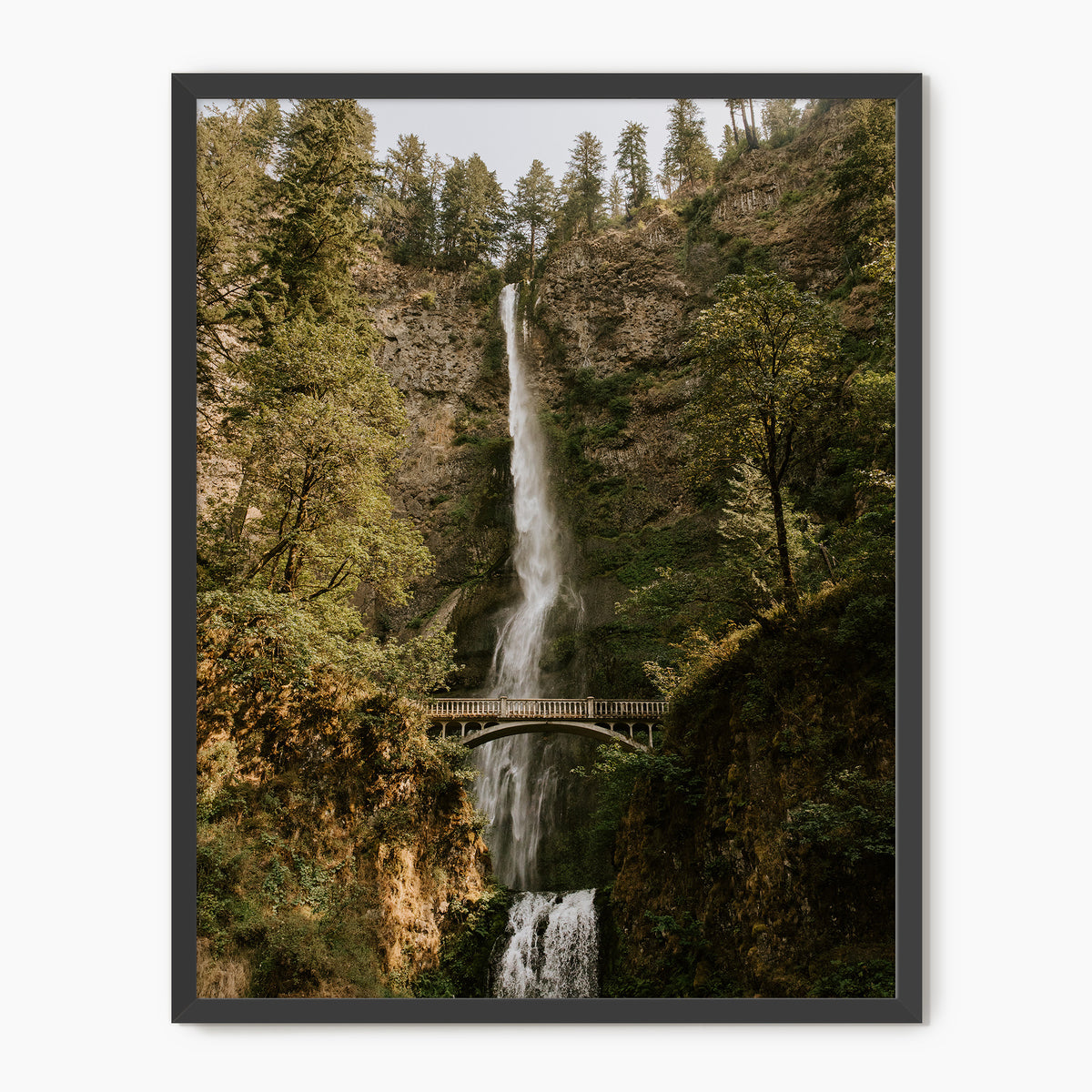 Multnomah Falls - Sage and Rose Prints