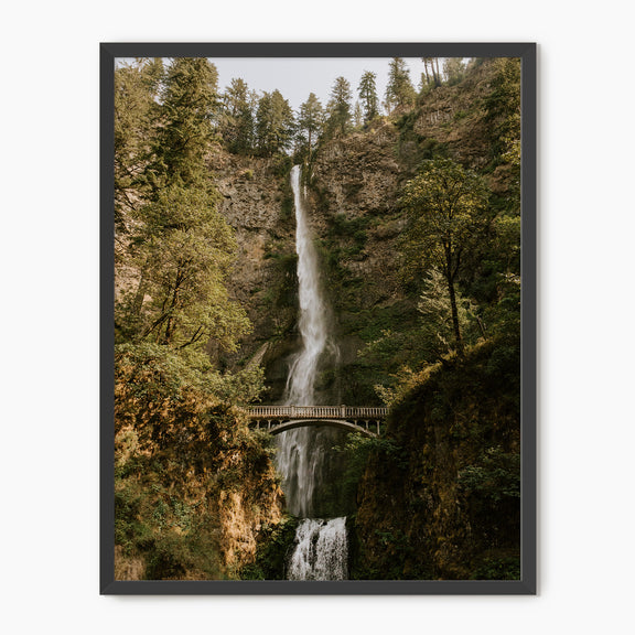 Multnomah Falls - Sage and Rose Prints