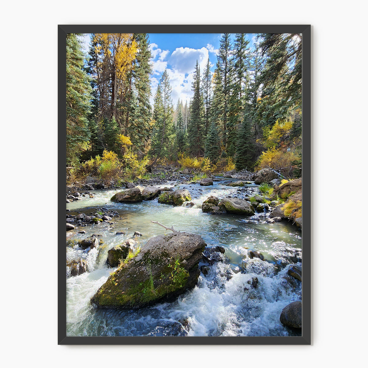Creek in Fall Photography - Sage and Rose Prints