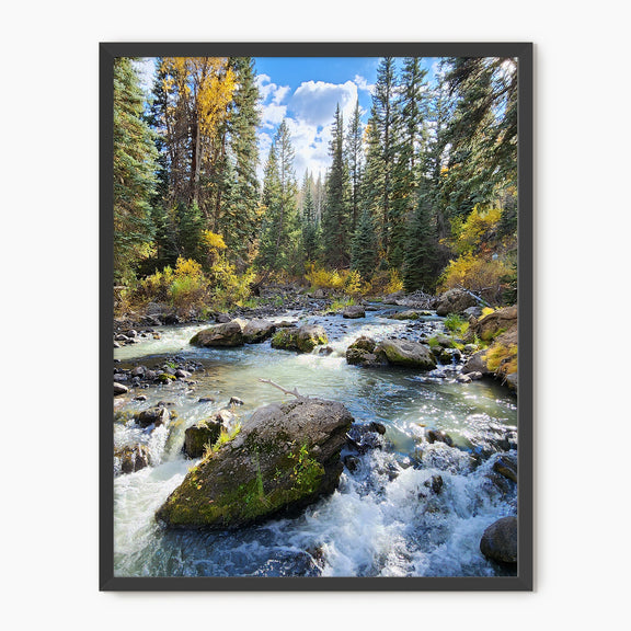 Creek in Fall Photography - Sage and Rose Prints