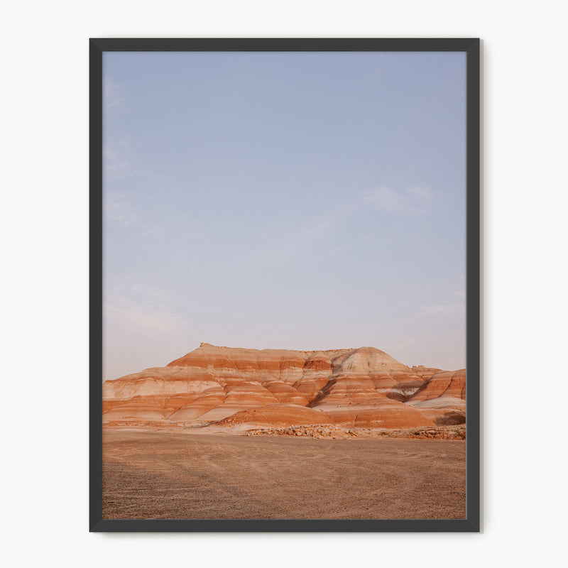 Desert Views - Sage and Rose Prints