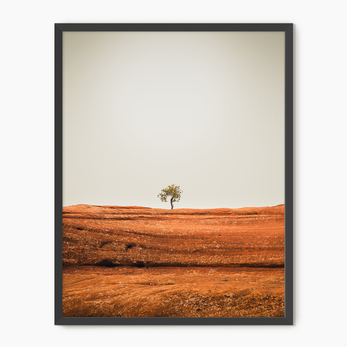 Minimal Tree Photography - Sage and Rose Prints
