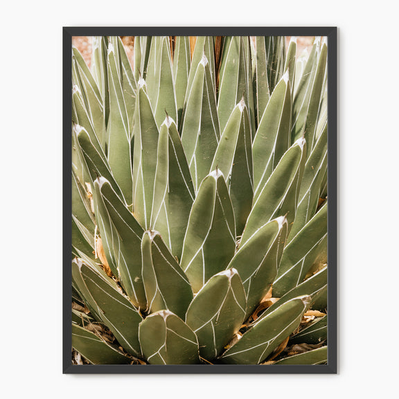 Nature's Armor - Sage and Rose Prints