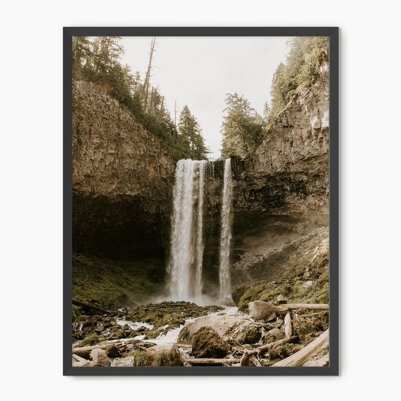 Falling - Sage and Rose Prints